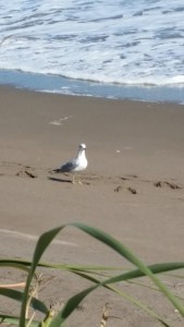 20180116_115253.jpg