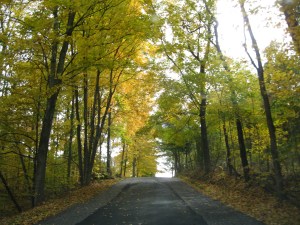 IMG_1838