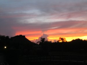 IMG_0732
