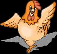 chicken